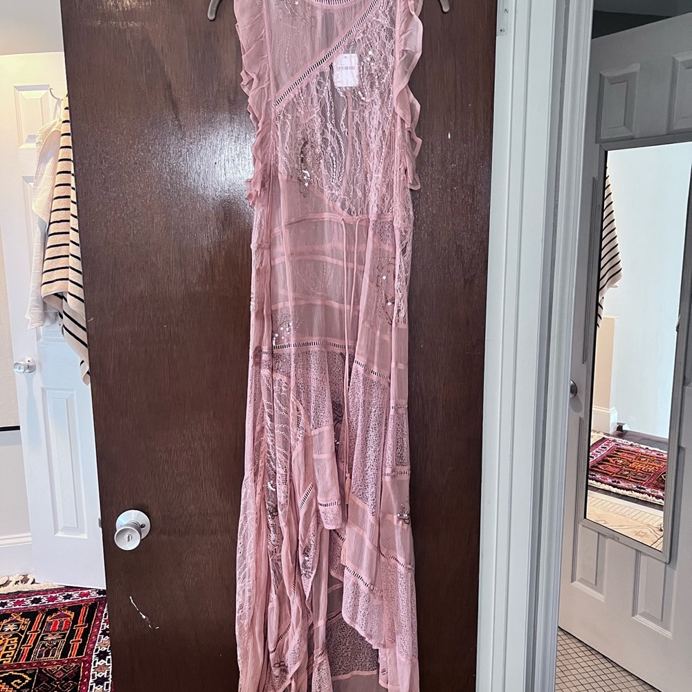 Free People Pink Sheer Maxi Dress